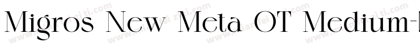 Migros New Meta OT Medium字体转换